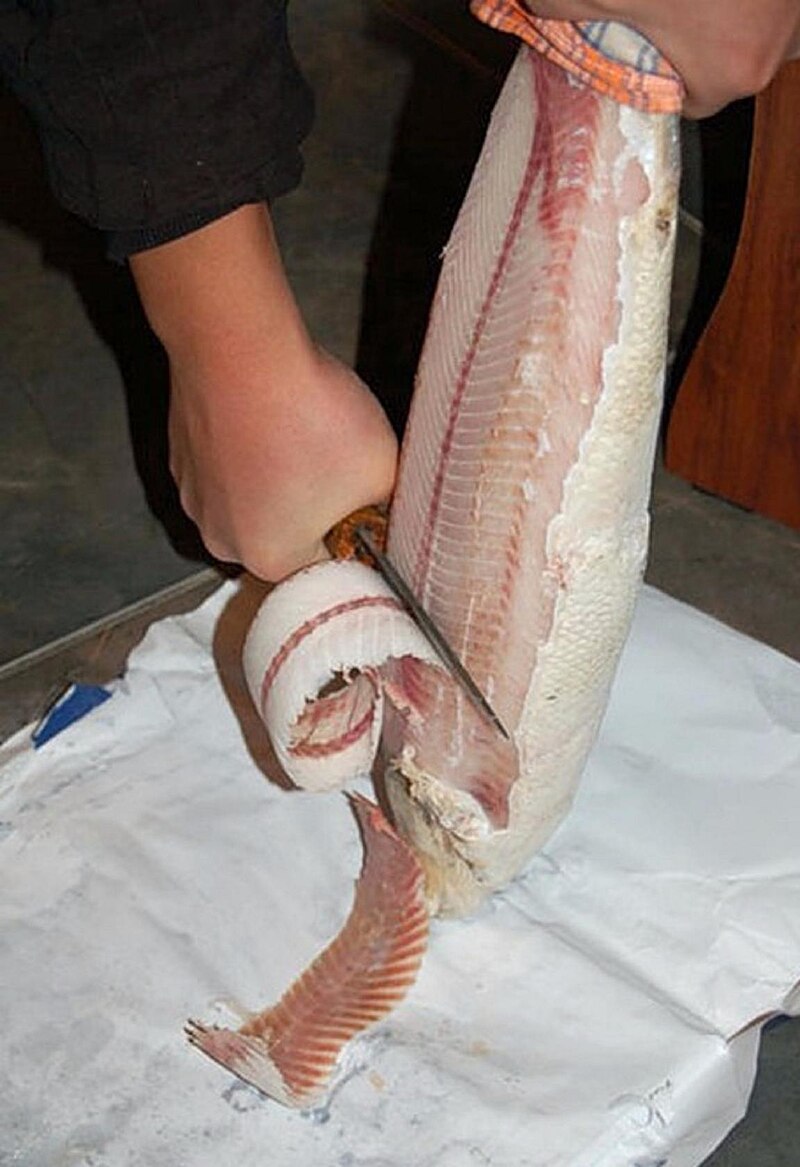 Stroganina, pesce crudo affettato tipico della Siberia.